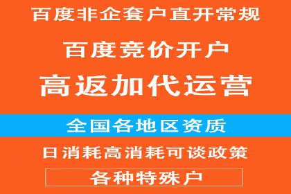 某电商平台的SEM竞价专员成功案例分享